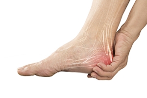 Why Does My Heel Hurt?